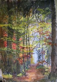 JD Autumn Woodland Path Watercolour