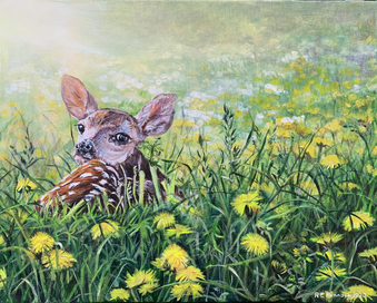 Fawn in the meadow