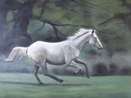 White Wild Horse